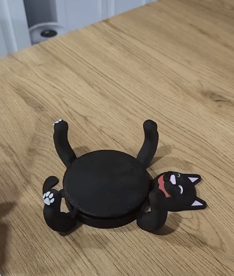 3D kaķu dzērienu paliktņi