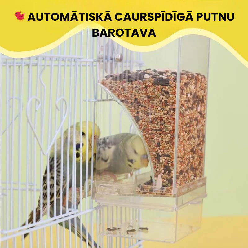 🐦 Automātiskā caurspīdīgā putnu barotava