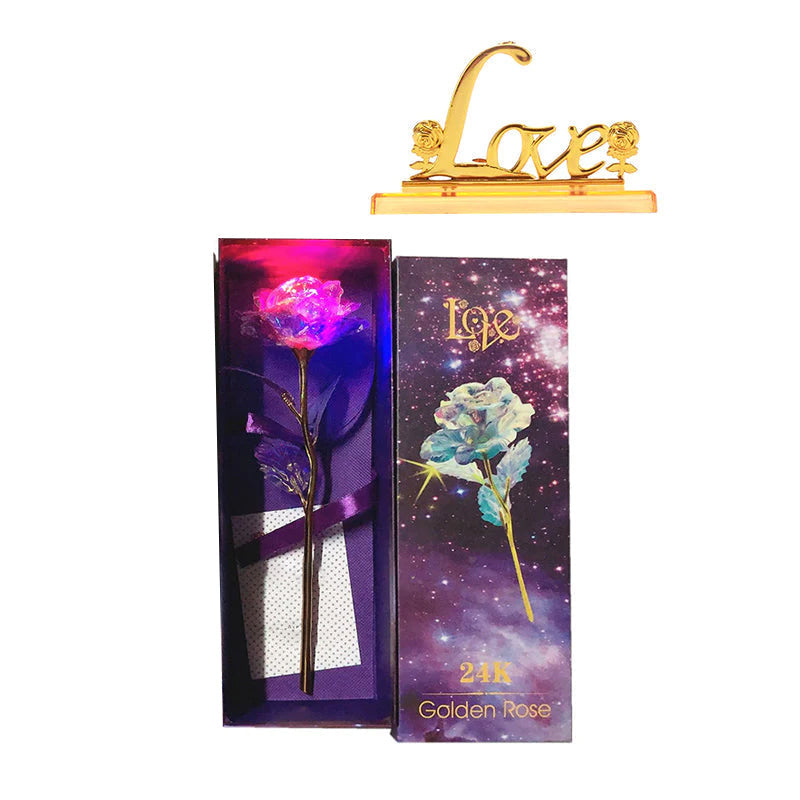 Spīdīgā guļošā roze