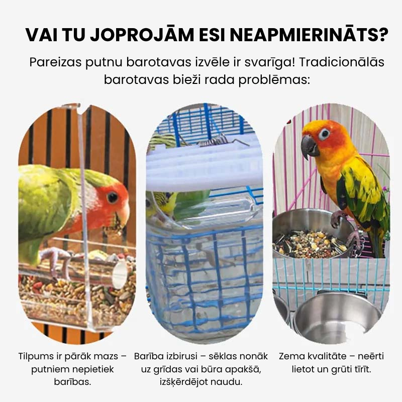 🐦 Automātiskā caurspīdīgā putnu barotava
