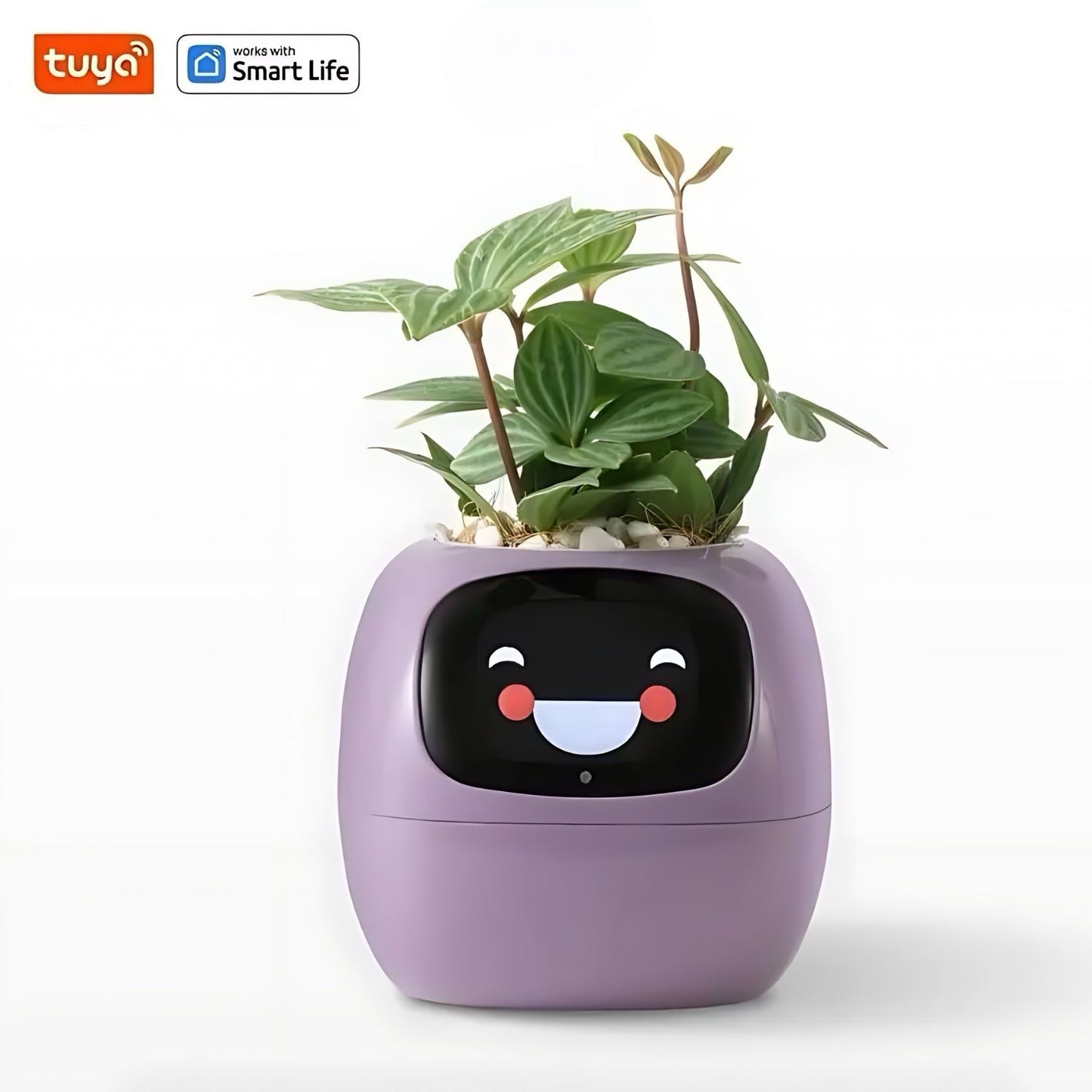 Happy Ivy™ – viedais pods ar automātisku augu kopšanas sistēmu