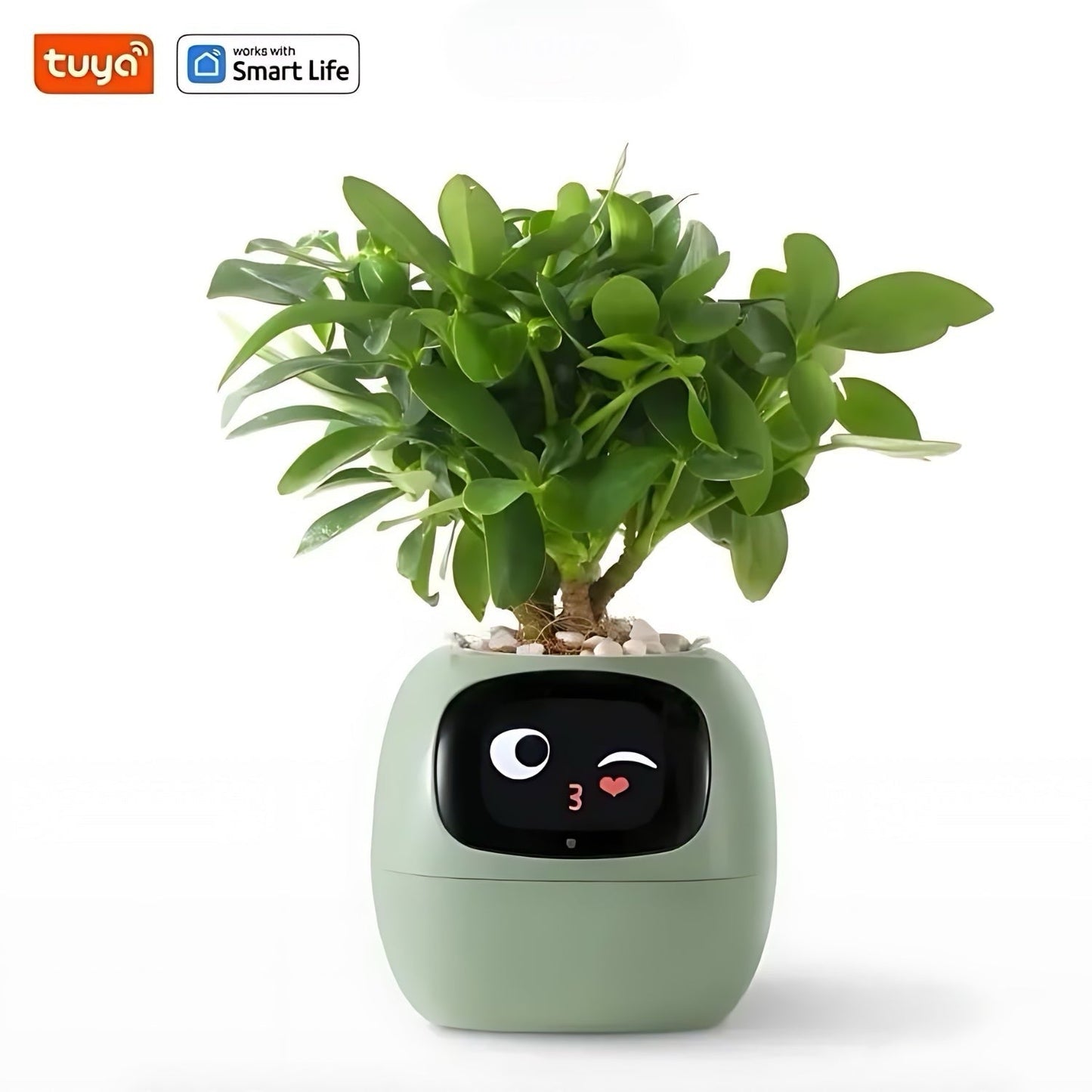 Happy Ivy™ – viedais pods ar automātisku augu kopšanas sistēmu