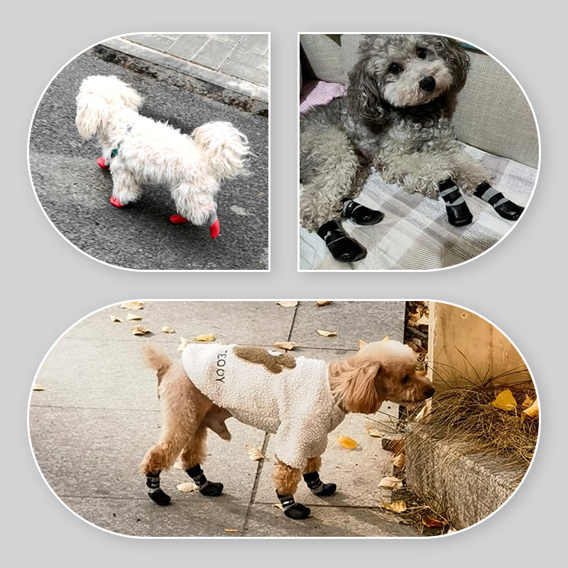 🔹 Pretpaslīdēšanas un ūdensizturīgi suņu apavi