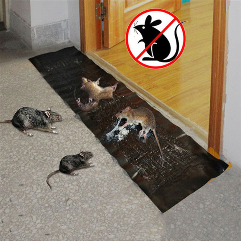 Līmes slazdi pelēm